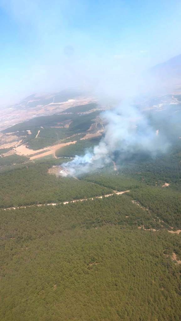 İzmir'in Aliağa ilçesinde ormanlık alanda yangın çıktı