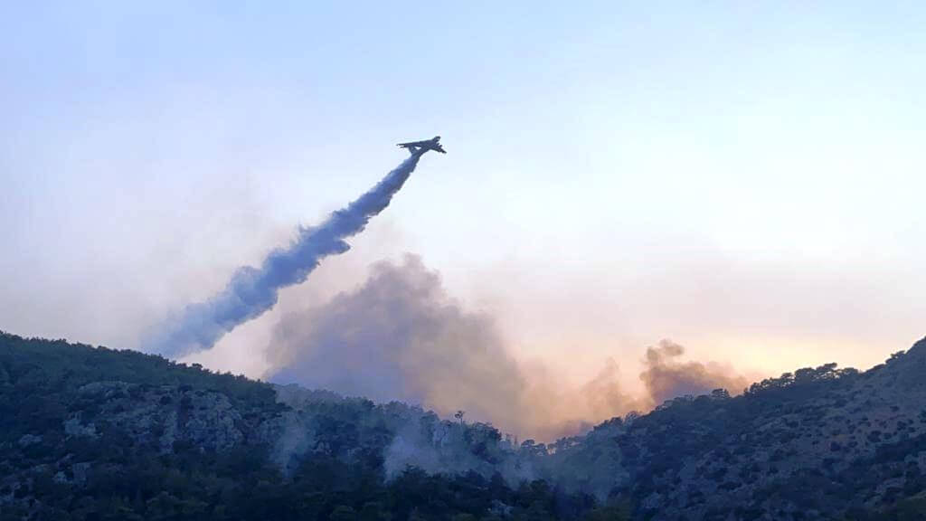 Muğla'nın Seydikemer ilçesinde orman yangını çıktı