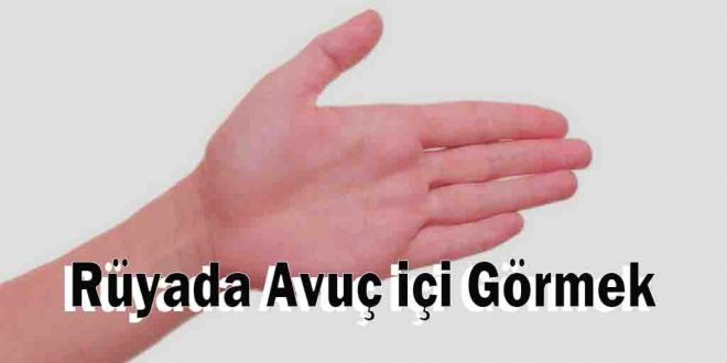 Rüyada Avuç içi Görmek