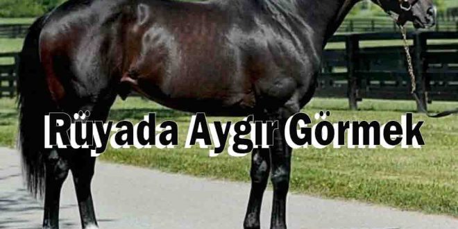 Rüyada Aygır Görmek