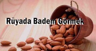 Rüyada Badem Görmek