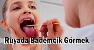 Rüyada Bademcik Görmek