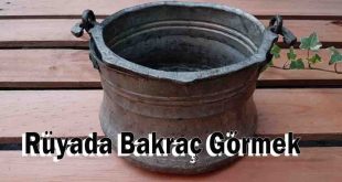 Rüyada Bakraç Görmek