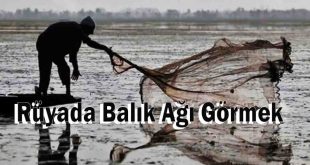 Rüyada Balık Ağı Görmek