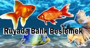 Rüyada Balık Beslemek