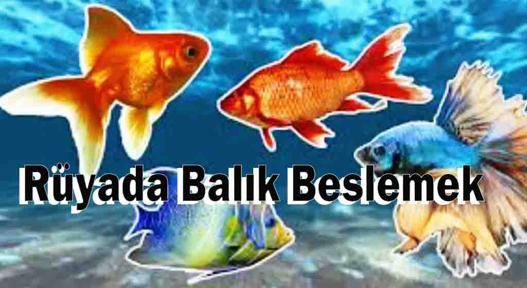 Rüyada Balık Beslemek