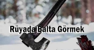 Rüyada Balta Görmek