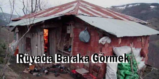 Rüyada Baraka Görmek