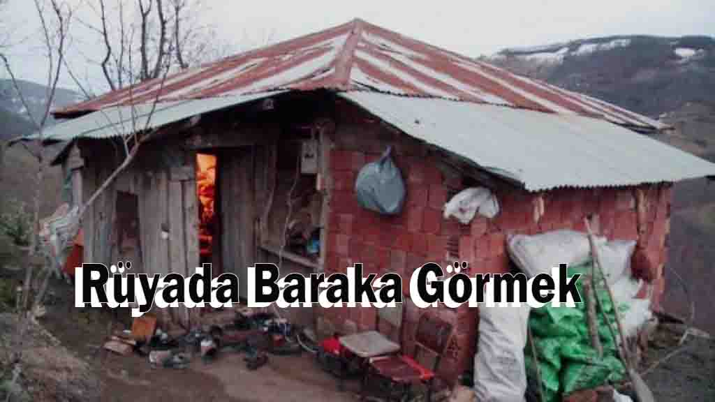 Rüyada Baraka Görmek