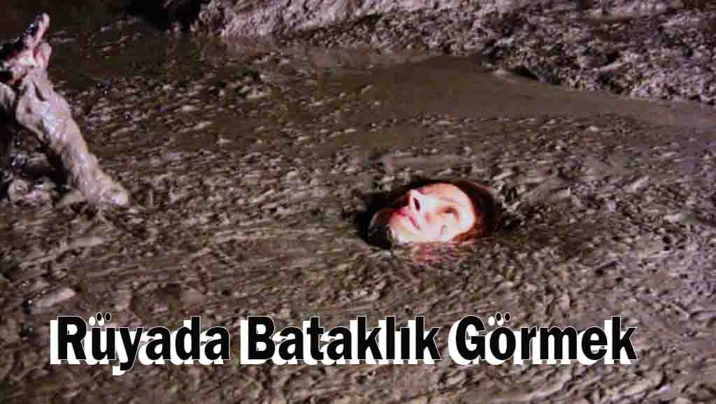 Rüyada Bataklık Görmek