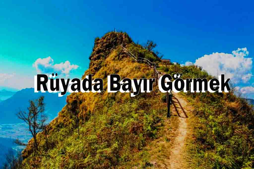 Rüyada Bayır Görmek