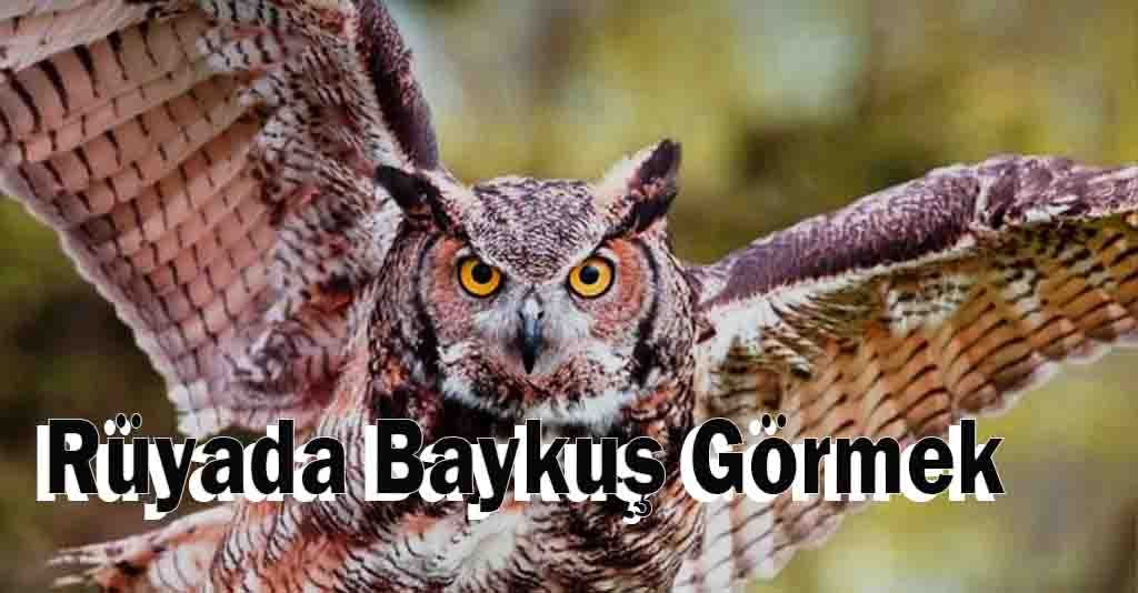 Rüyada Baykuş Görmek