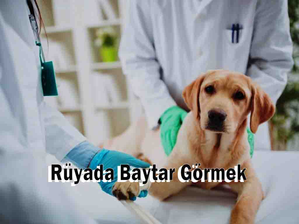 Rüyada Baytar Görmek