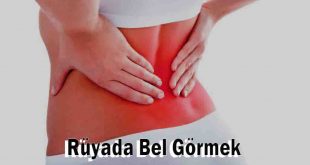 Rüyada Bel Görmek