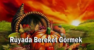 Rüyada Bereket Görmek