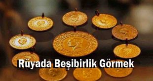 Rüyada Beşibirlik Görmek