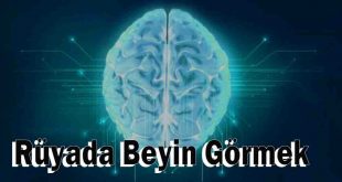 Rüyada Beyin Görmek