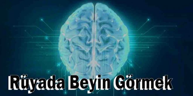 Rüyada Beyin Görmek