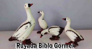 Rüyada Biblo Görmek