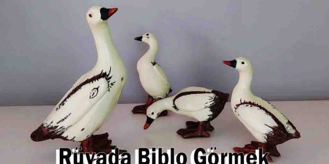 Rüyada Biblo Görmek