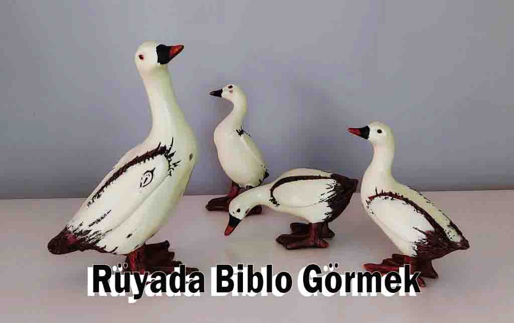 Rüyada Biblo Görmek