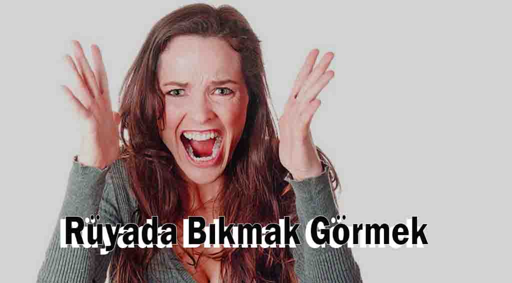 Rüyada Bıkmak Görmek