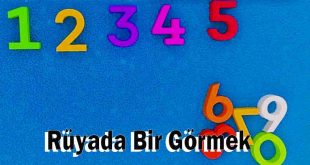 Rüyada Bir Görmek