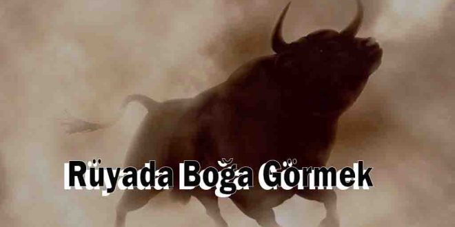 Rüyada Boğa Görmek