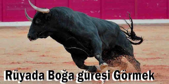 Rüyada Boğa güreşi Görmek