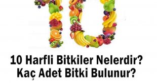 10 Harfli Bitkiler Nelerdir? Kaç Adet Bitki Bulunur?