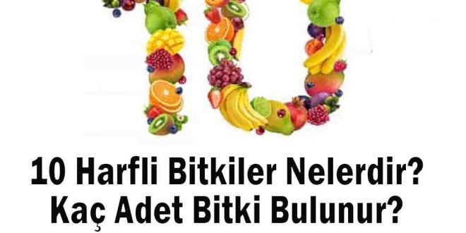 10 Harfli Bitkiler Nelerdir? Kaç Adet Bitki Bulunur?