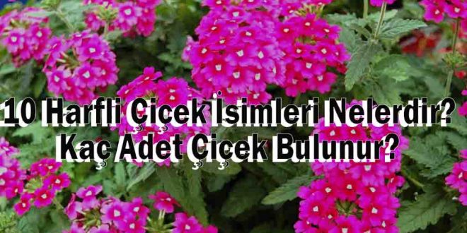 10 Harfli Çiçek İsimleri Nelerdir? Kaç Adet Çiçek Bulunur?