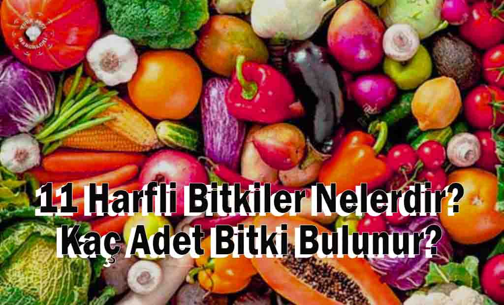 11 Harfli Bitkiler Nelerdir? Kaç Adet Bitki Bulunur?