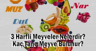 3 Harfli Meyveler Nelerdir? Kaç Tane Meyve Bulunur?