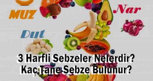 3 Harfli Sebzeler Nelerdir? Kaç Tane Sebze Bulunur?