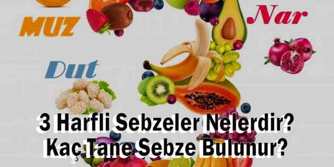 3 Harfli Sebzeler Nelerdir? Kaç Tane Sebze Bulunur?