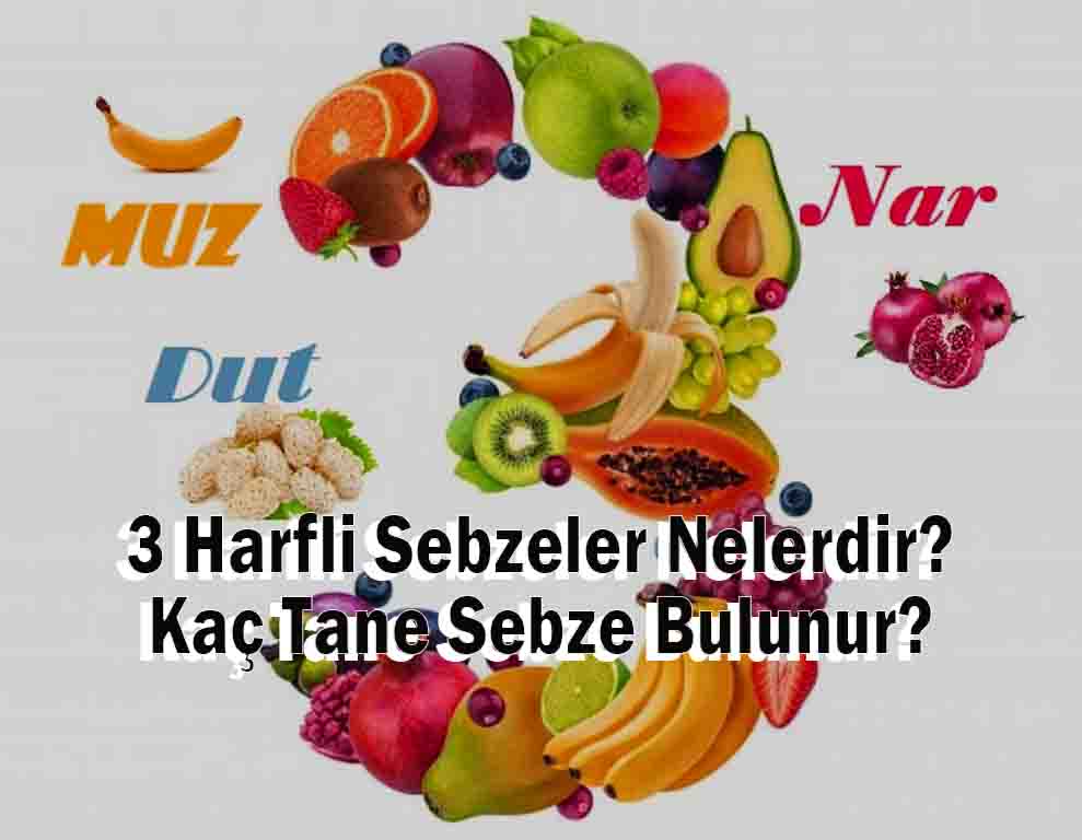 3 Harfli Sebzeler Nelerdir? Kaç Tane Sebze Bulunur?