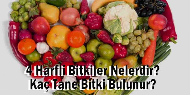 4 Harfli Bitkiler Nelerdir? Kaç Tane Bitki Bulunur?