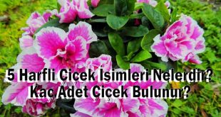 5 Harfli Çiçek İsimleri Nelerdir? Kaç Adet Çiçek Bulunur?