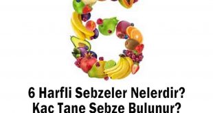 6 Harfli Sebzeler Nelerdir? Kaç Tane Sebze Bulunur?