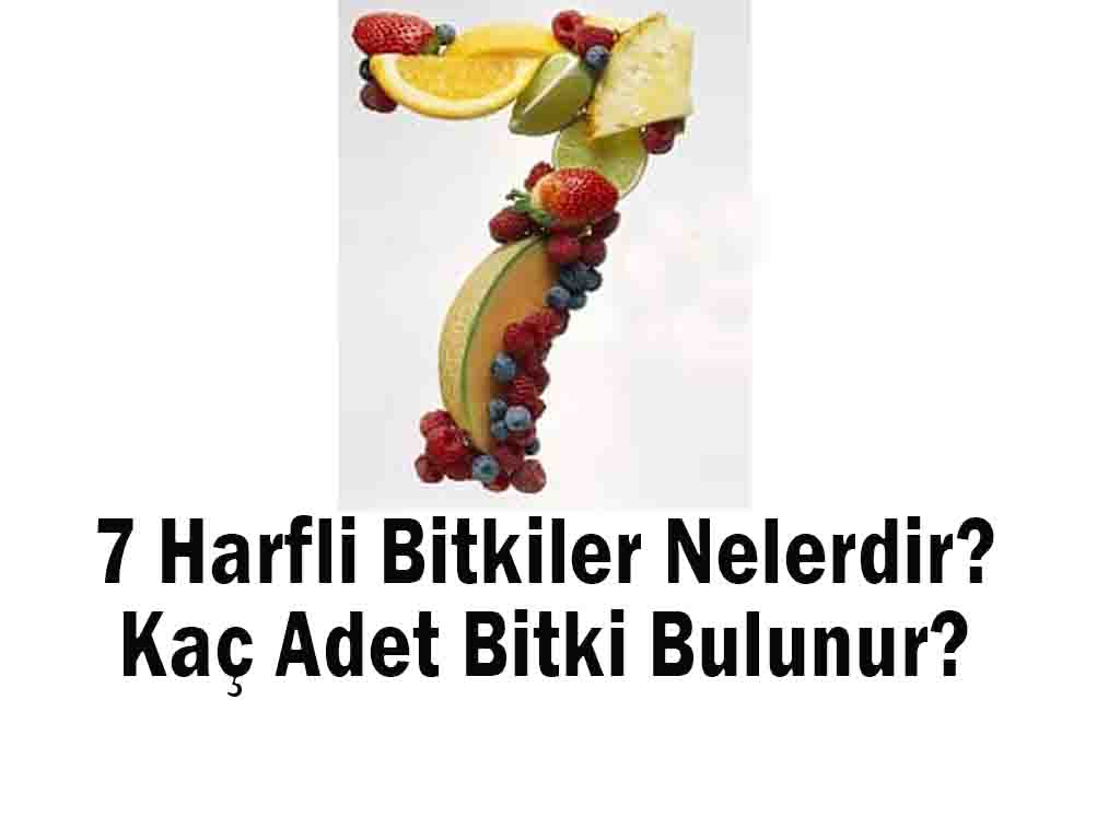 7 Harfli Bitkiler Nelerdir? Kaç Adet Bitki Bulunur?