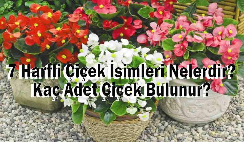 7 Harfli Çiçek İsimleri Nelerdir? Kaç Adet Çiçek Bulunur?