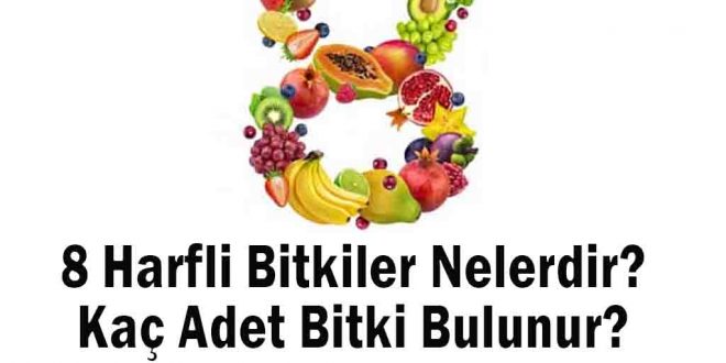 8 Harfli Bitkiler Nelerdir? Kaç Adet Bitki Bulunur?