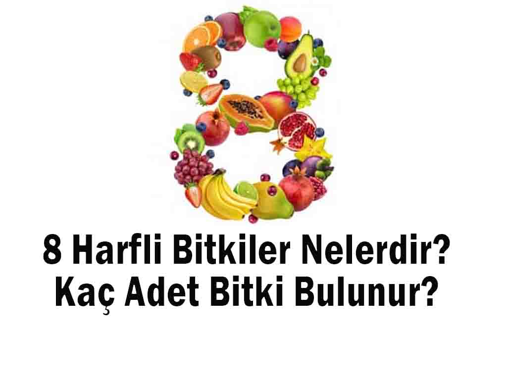 8 Harfli Bitkiler Nelerdir? Kaç Adet Bitki Bulunur?