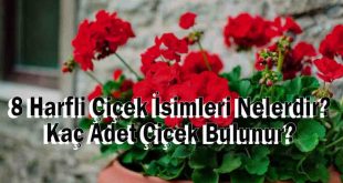 8 Harfli Çiçek İsimleri Nelerdir? Kaç Adet Çiçek Bulunur?