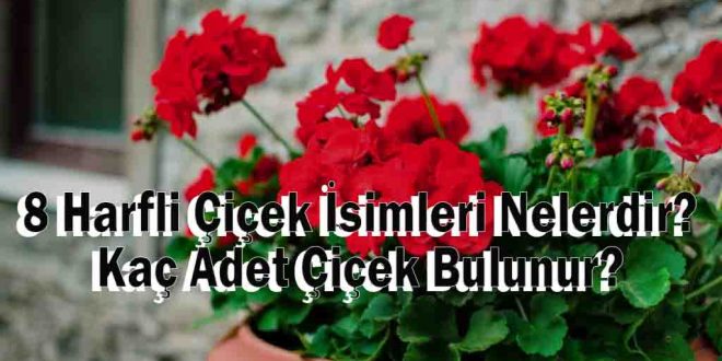 8 Harfli Çiçek İsimleri Nelerdir? Kaç Adet Çiçek Bulunur?