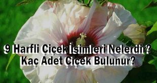 9 Harfli Çiçek İsimleri Nelerdir? Kaç Adet Çiçek Bulunur?