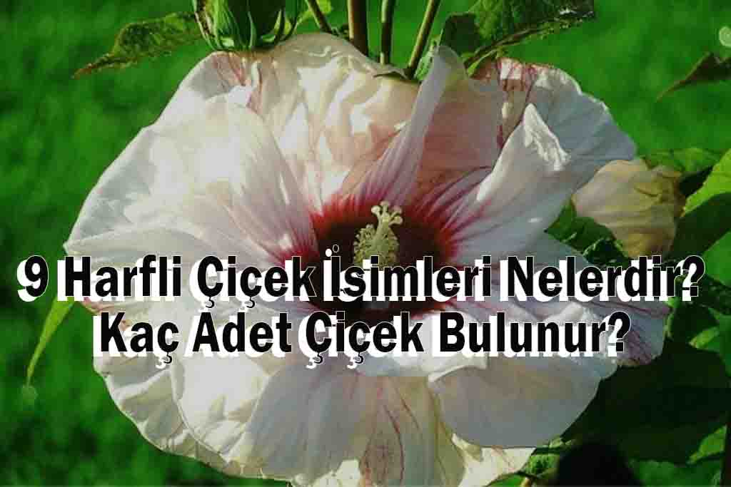 9 Harfli Çiçek İsimleri Nelerdir? Kaç Adet Çiçek Bulunur?