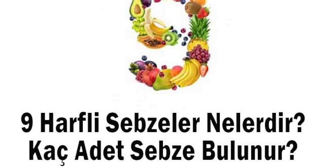 9 Harfli Sebzeler Nelerdir? Kaç Adet Sebze Bulunur?