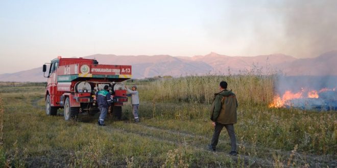 Afyonkarahisar'da sazlık alanda çıkan yangın söndürüldü